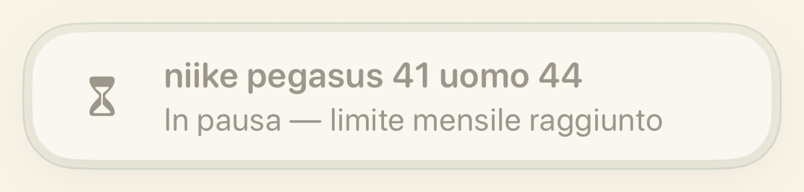 Scheda del promemoria in pausa al raggiungimento del limite mensile